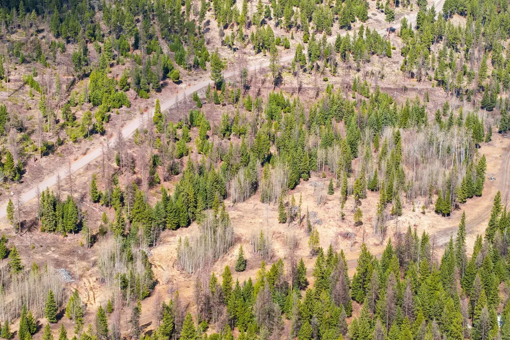 991 Haskill Ranch Road Kila MT 59920