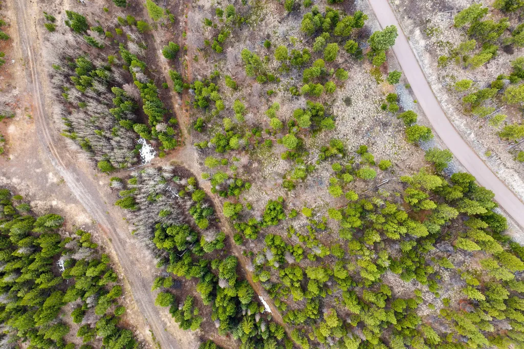 991 Haskill Ranch Road Kila MT 59920