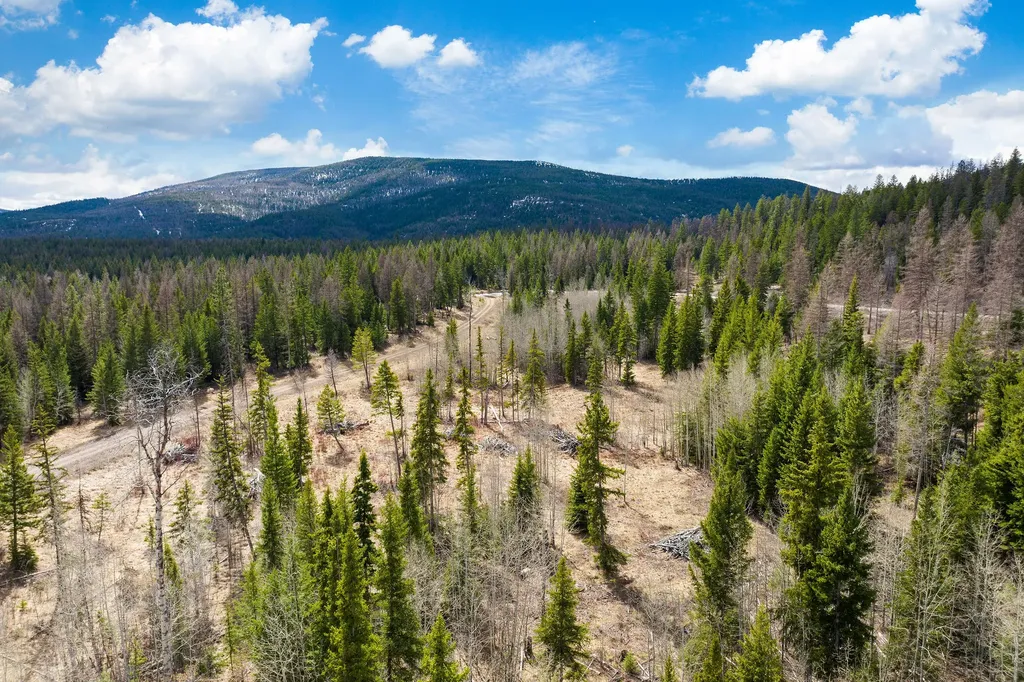 991 Haskill Ranch Road Kila MT 59920