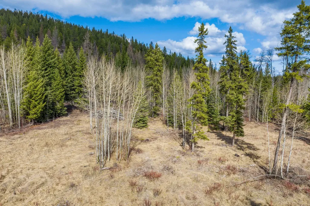 991 Haskill Ranch Road Kila MT 59920