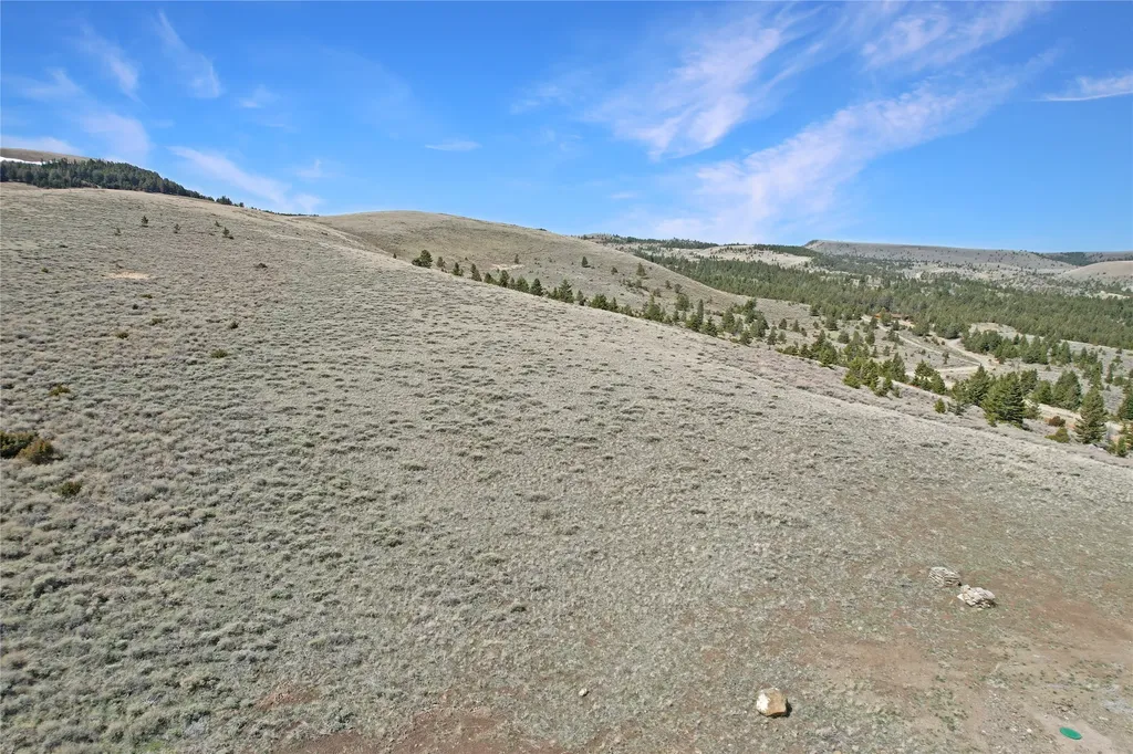 231 Axolotl Lakes Trail Ennis MT 59729
