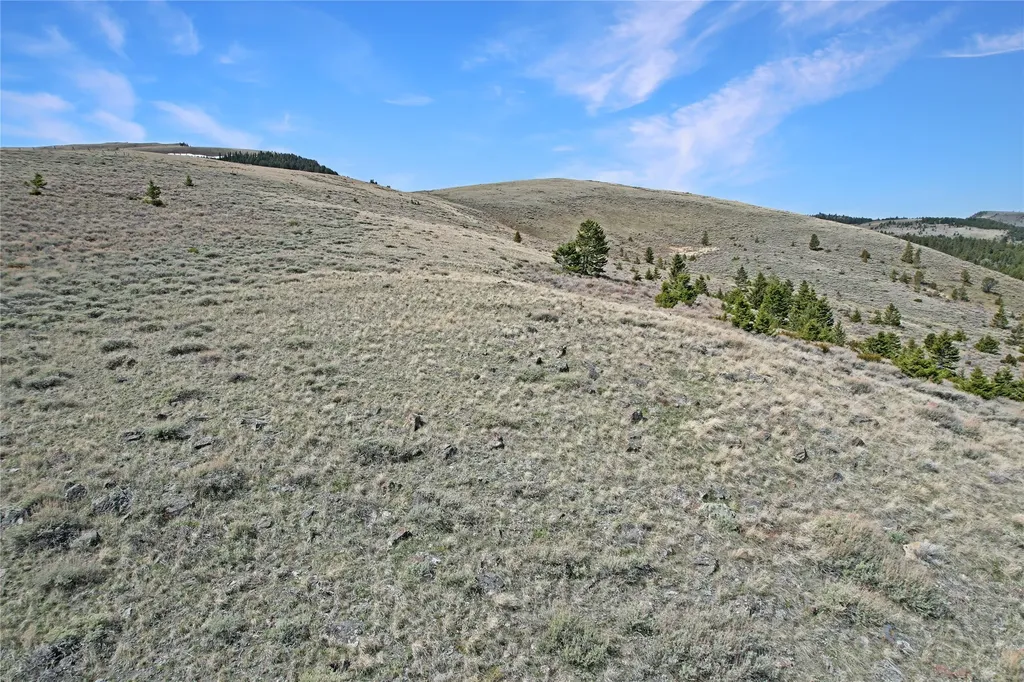 231 Axolotl Lakes Trail Ennis MT 59729