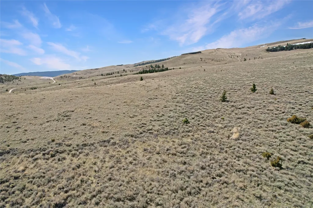 231 Axolotl Lakes Trail Ennis MT 59729