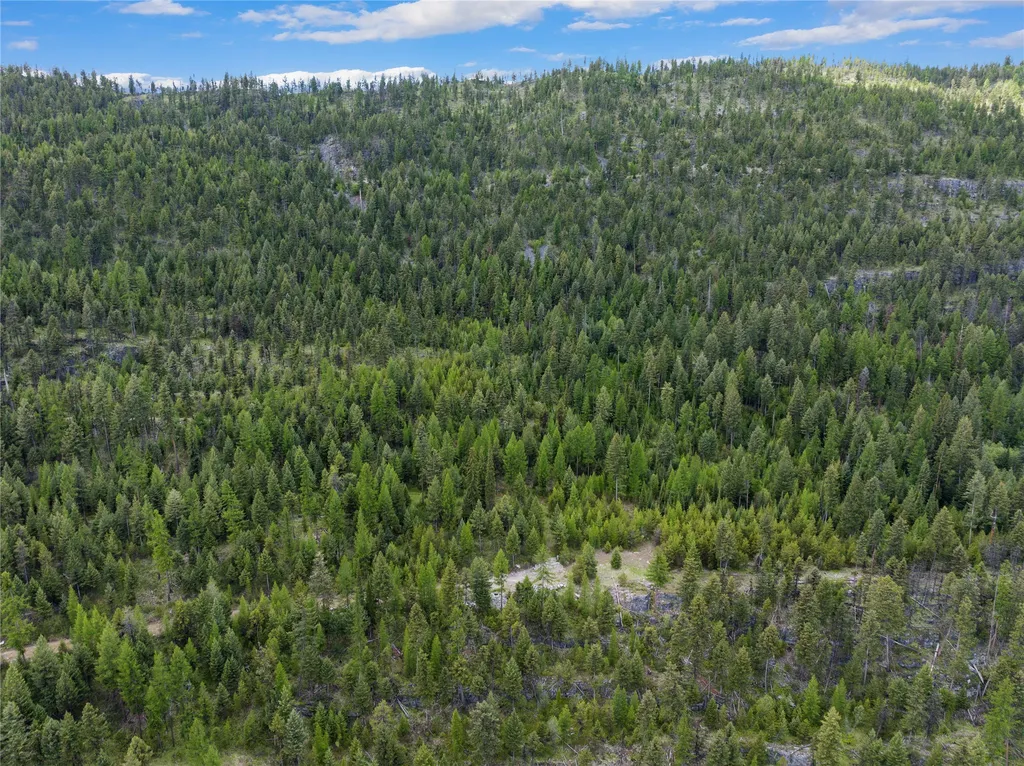 300 Highland Trail Marion MT 59925