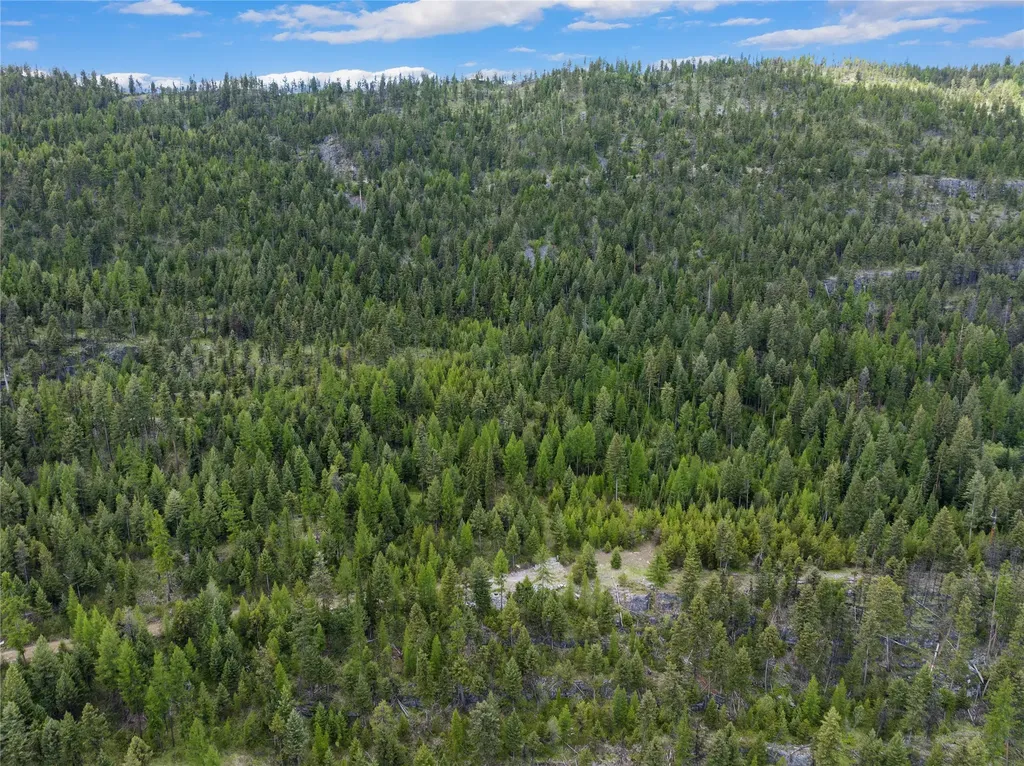 300 Highland Trail Marion MT 59925