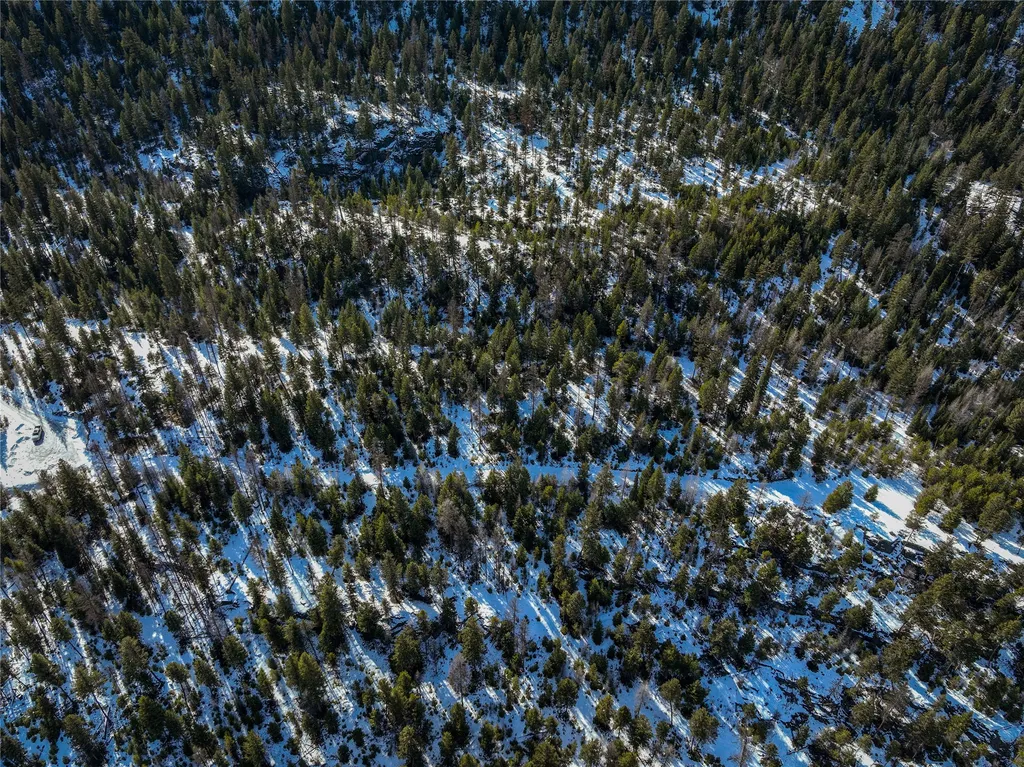 300 Highland Trail Marion MT 59925