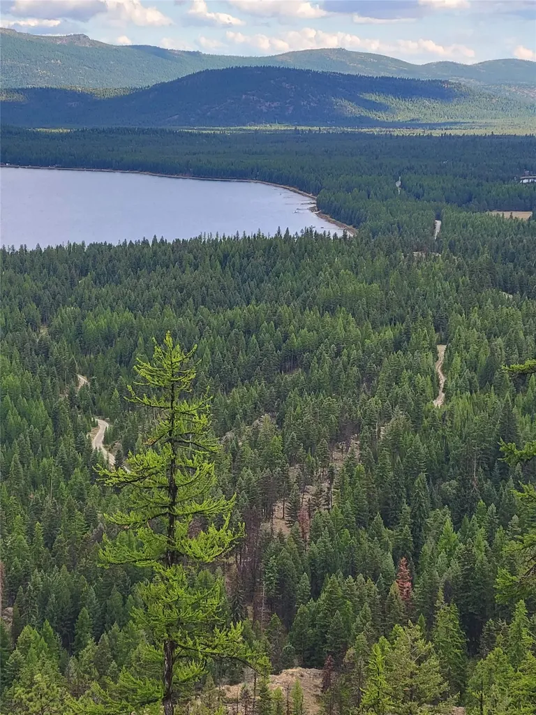 300 Highland Trail Marion MT 59925