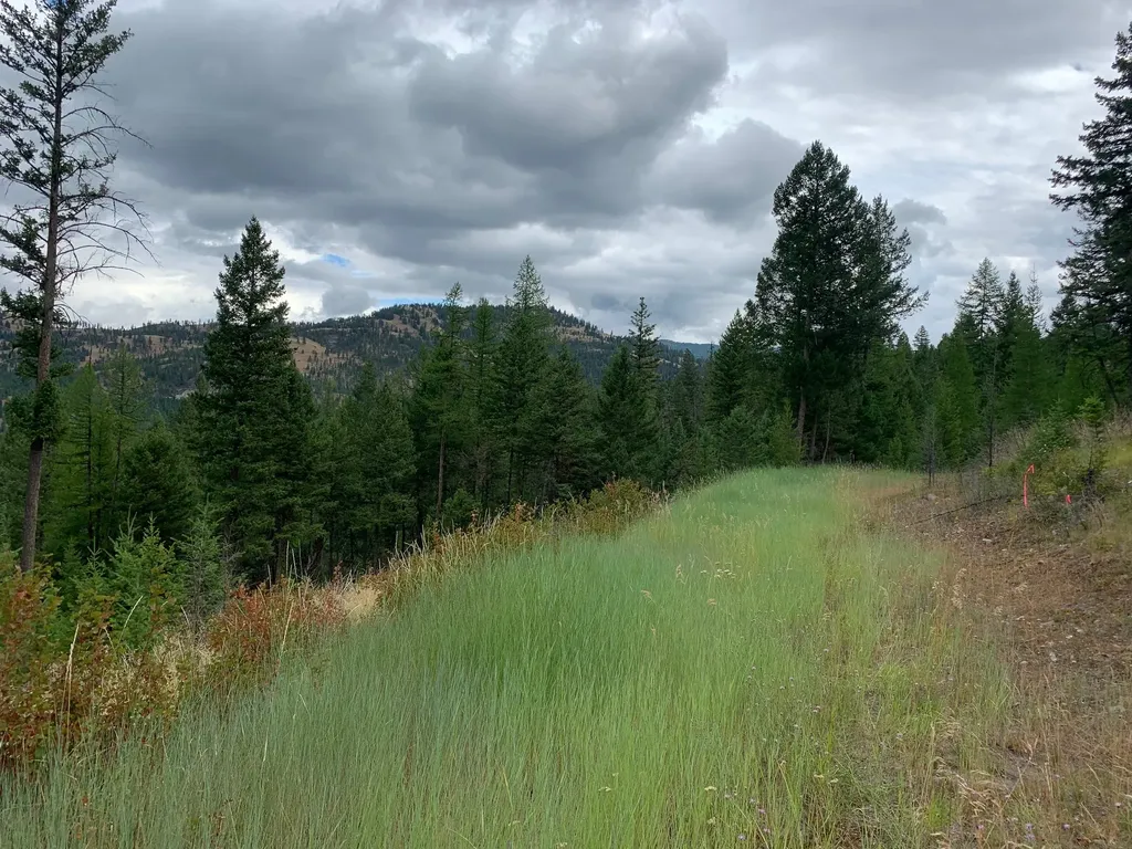 Tract 11 Whitetail Ridge Kila MT 59920