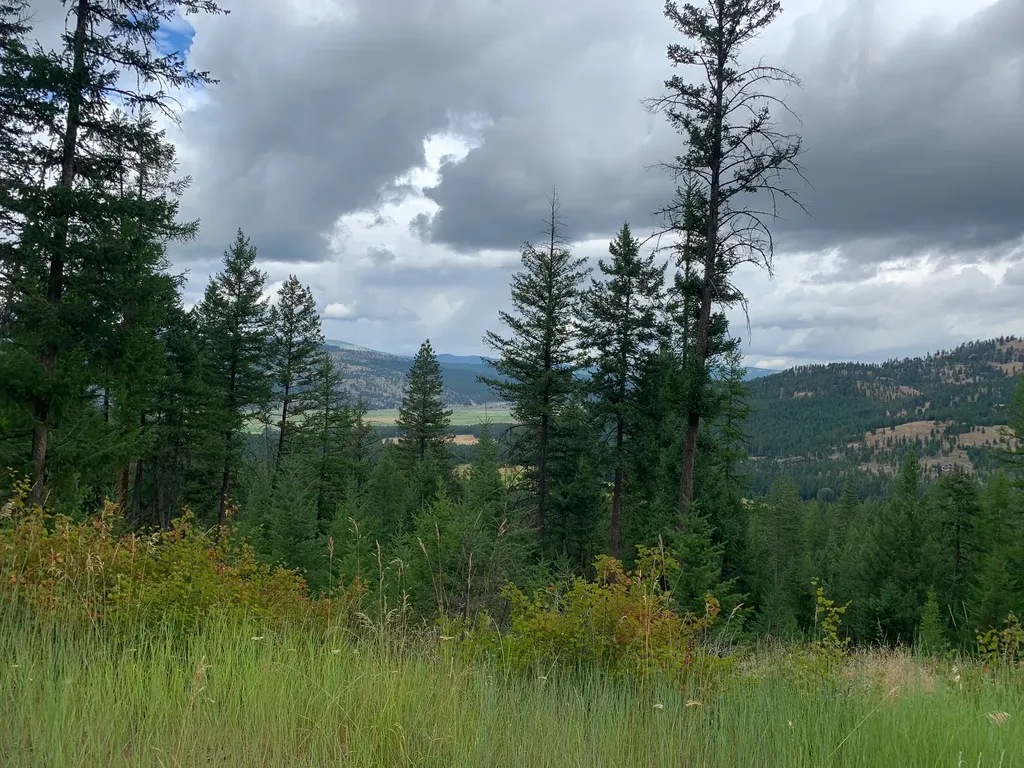 Tract 11 Whitetail Ridge Kila MT 59920