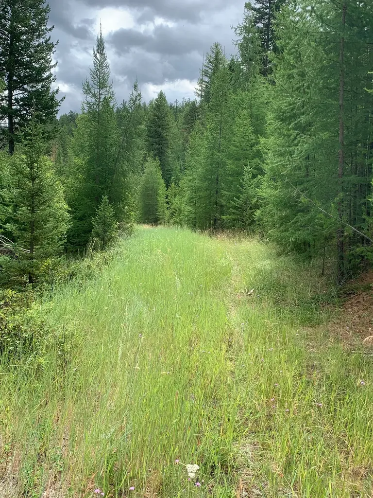 Tract 11 Whitetail Ridge Kila MT 59920