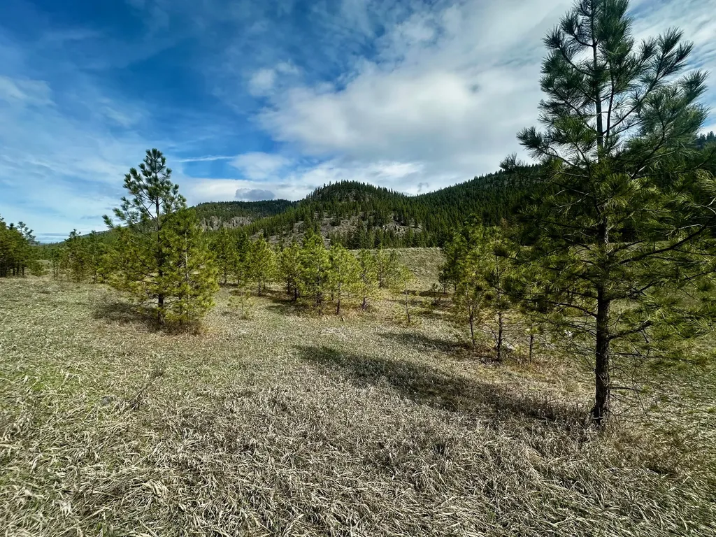 Nka River Bend Road N Superior MT 59872