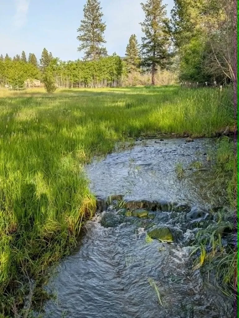 35322 Washoe Road Bonner MT 59823