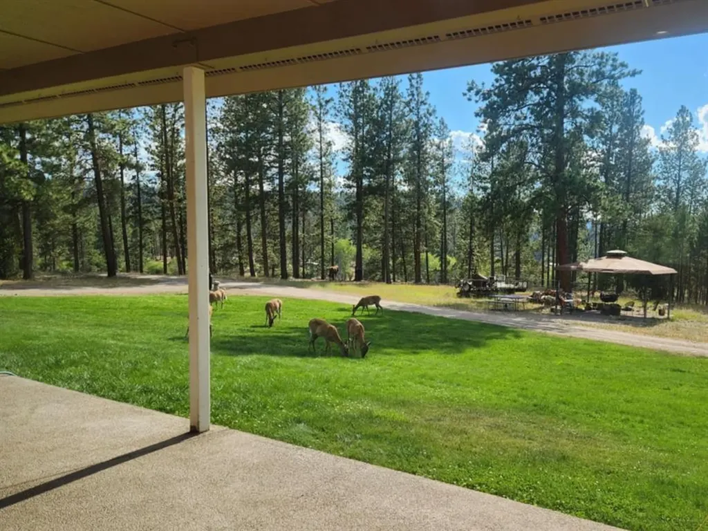 35322 Washoe Road Bonner MT 59823