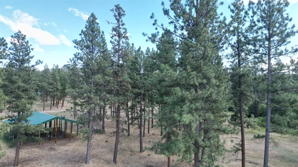 35322 Washoe Road Bonner MT 59823