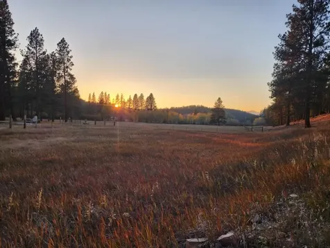35322 Washoe Road Bonner MT 59823