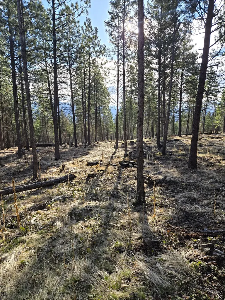 Nka Tooley Creek Road Rexford MT 59930