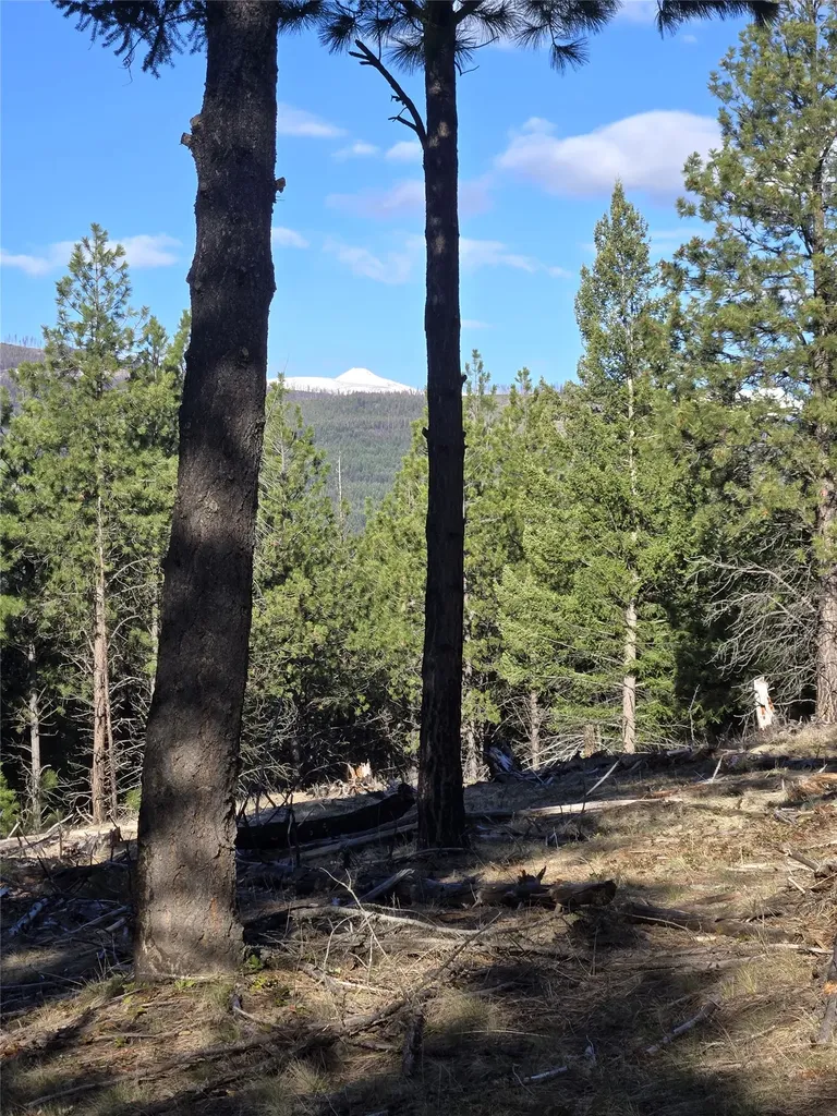 Nka Tooley Creek Road Rexford MT 59930