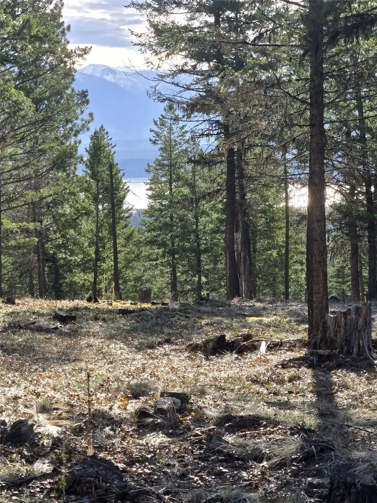 Nka Tooley Creek Road Rexford MT 59930