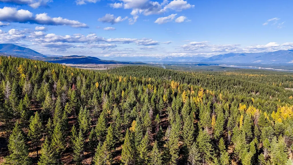 Nka Tooley Creek Road Rexford MT 59930