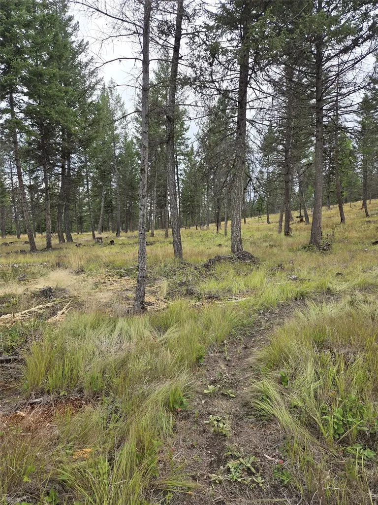 Nka Tooley Creek Road Rexford MT 59930