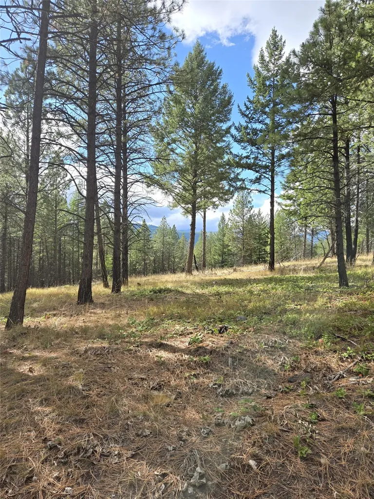 Nka Tooley Creek Road Rexford MT 59930