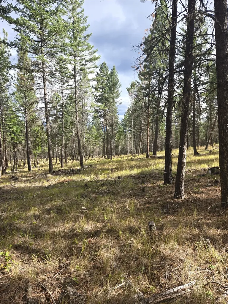 Nka Tooley Creek Road Rexford MT 59930