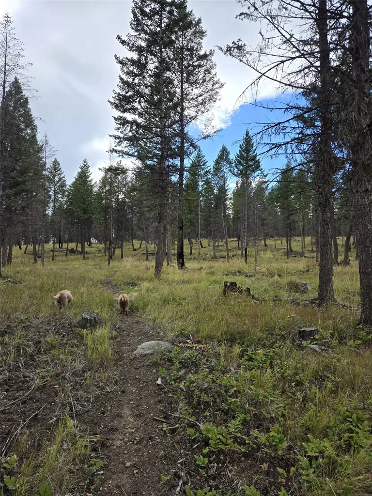 Nka Tooley Creek Road Rexford MT 59930