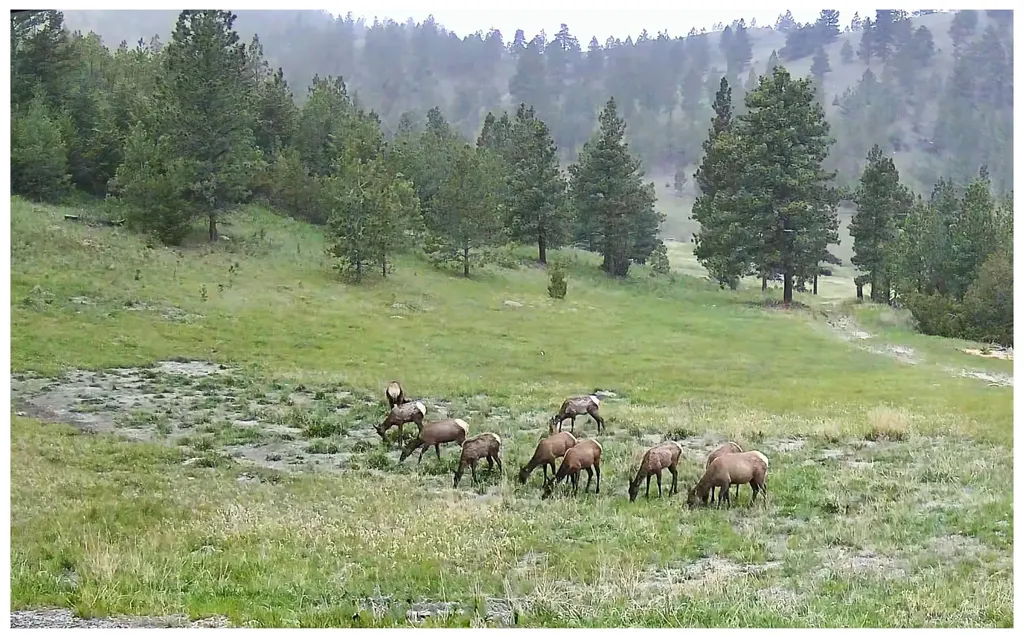 4915 W Us Highway 12 Helena MT 59601