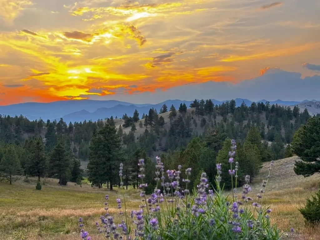 4915 W Us Highway 12 Helena MT 59601