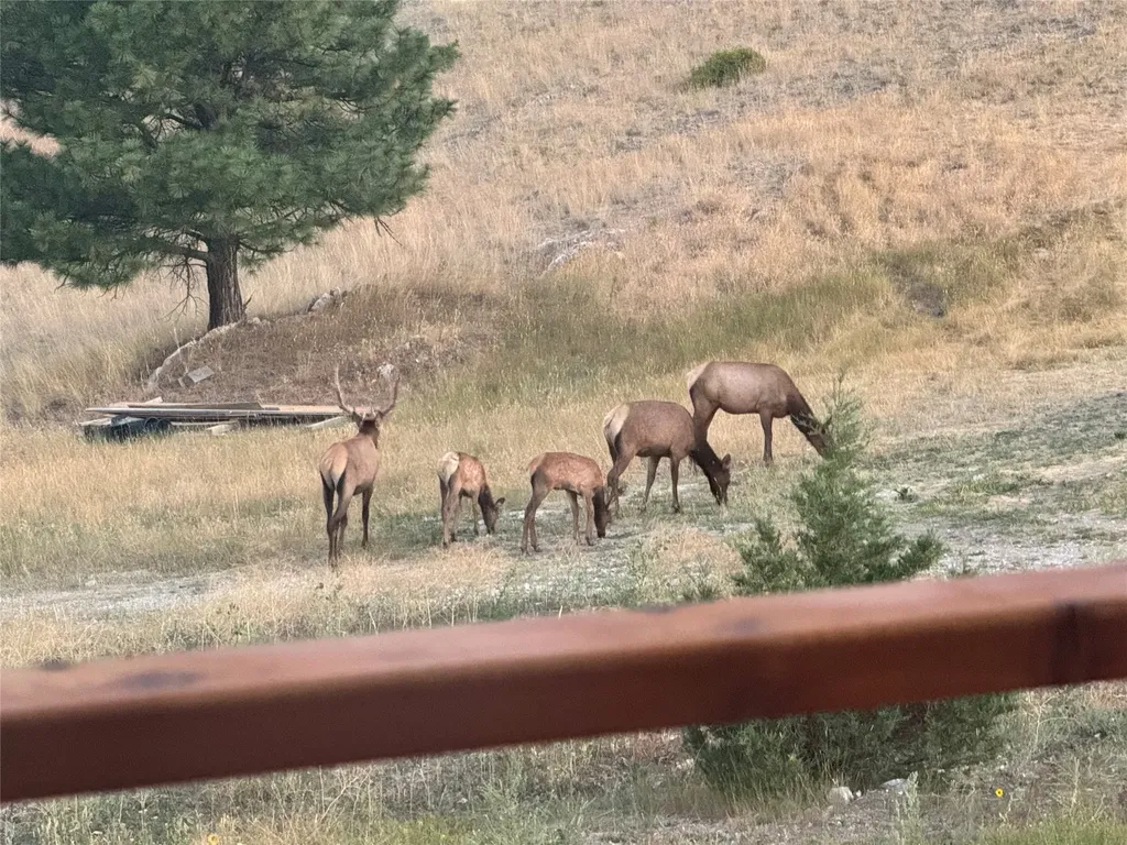 4915 W Us Highway 12 Helena MT 59601