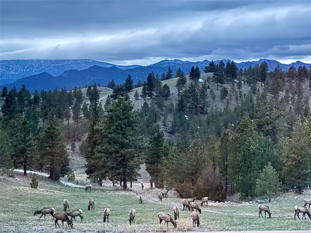 4915 W Us Highway 12 Helena MT 59601