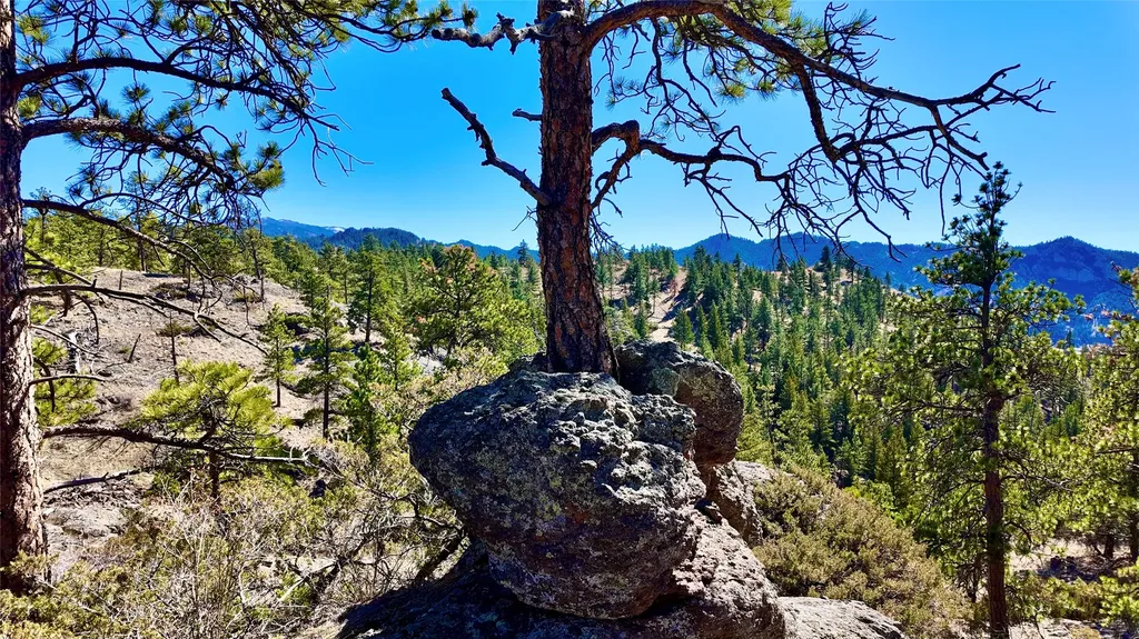 146 Pioneer Trail Lane Cascade MT 59421