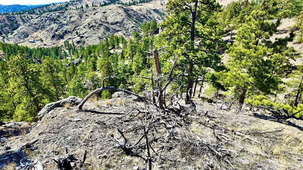 146 Pioneer Trail Lane Cascade MT 59421