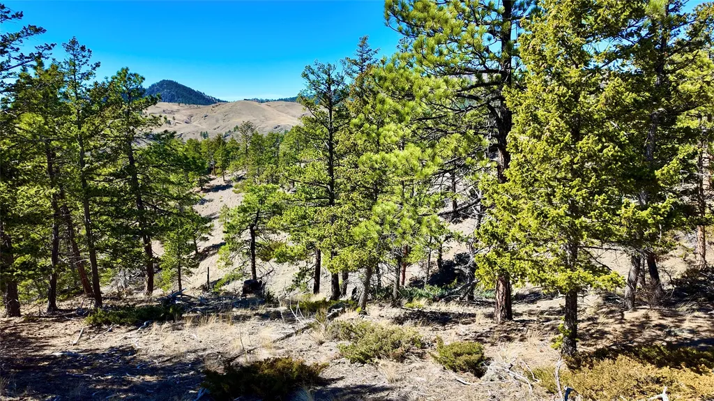 146 Pioneer Trail Lane Cascade MT 59421