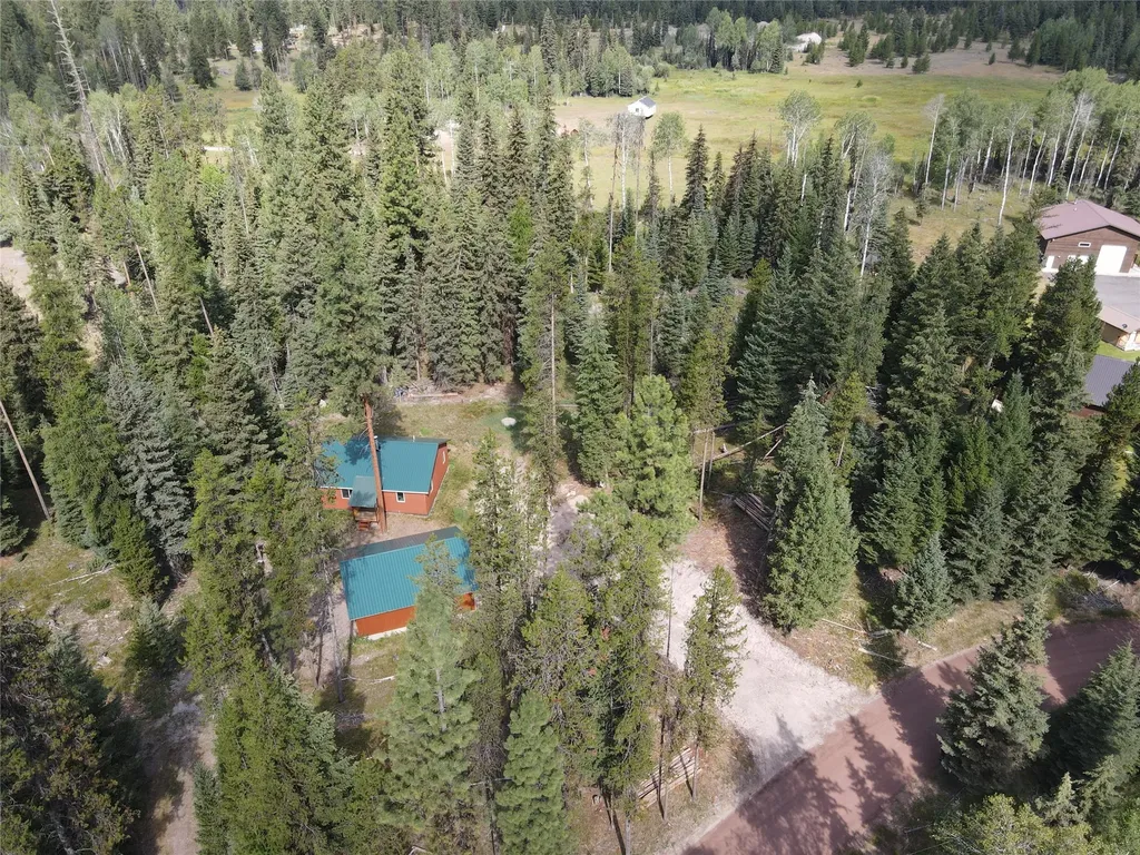1025 Evergreen Drive Seeley Lake MT 59868