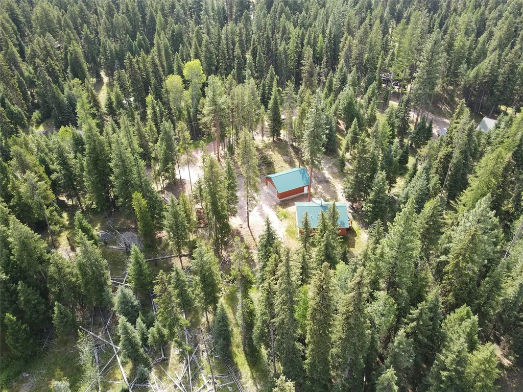 1025 Evergreen Drive Seeley Lake MT 59868