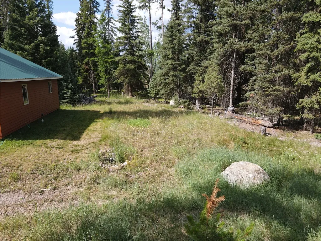 1025 Evergreen Drive Seeley Lake MT 59868