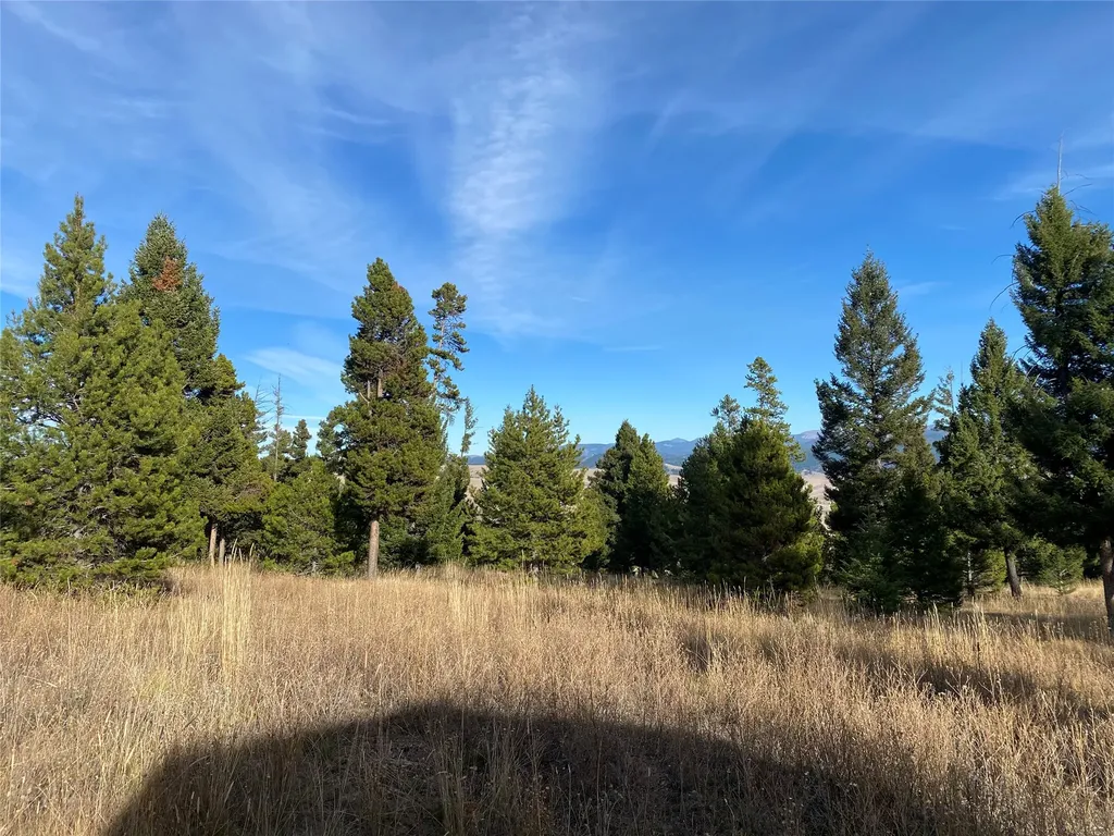 42 Grey Owl Road Philipsburg MT 59858