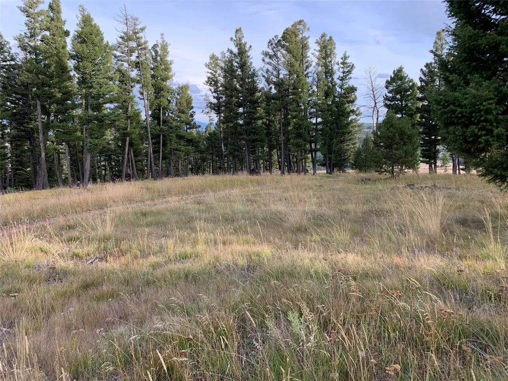 42 Grey Owl Road Philipsburg MT 59858