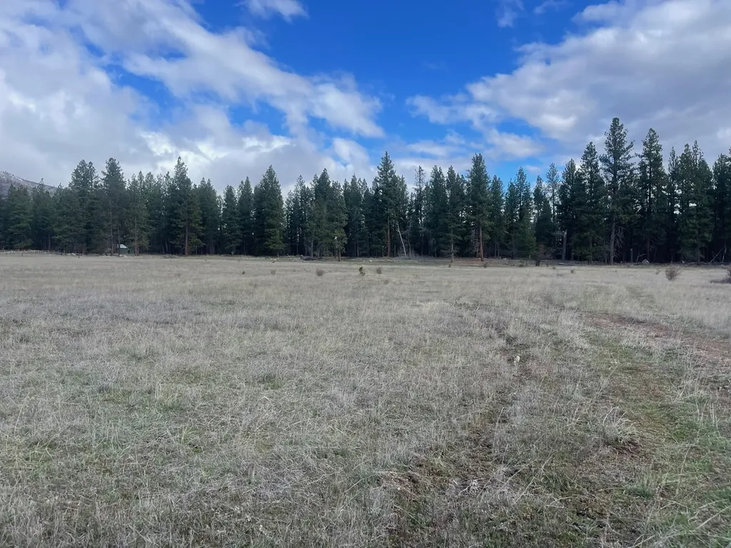 508 Great Wolf Way Hamilton MT 59840