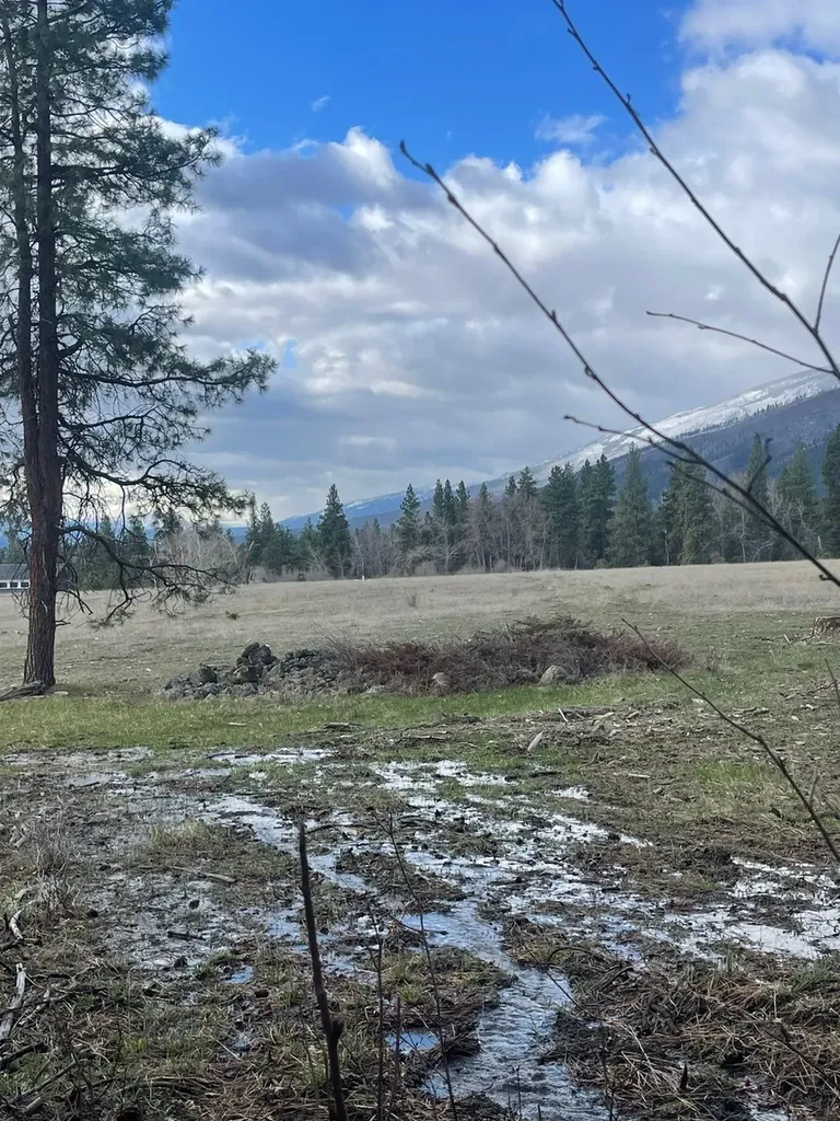 508 Great Wolf Way Hamilton MT 59840