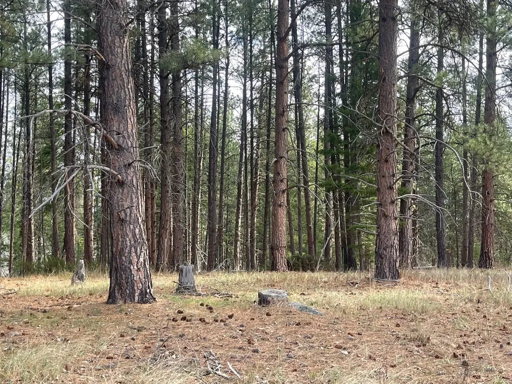 508 Great Wolf Way Hamilton MT 59840