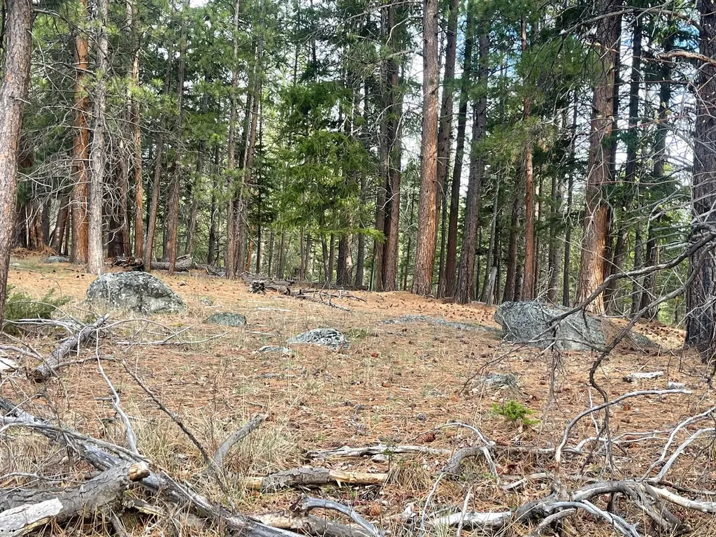 508 Great Wolf Way Hamilton MT 59840