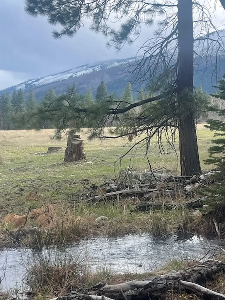 508 Great Wolf Way Hamilton MT 59840