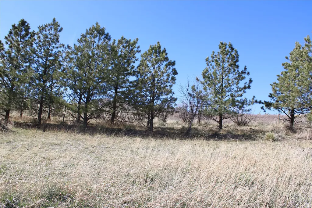 Tbd Old Highway 91 Cascade MT 59421
