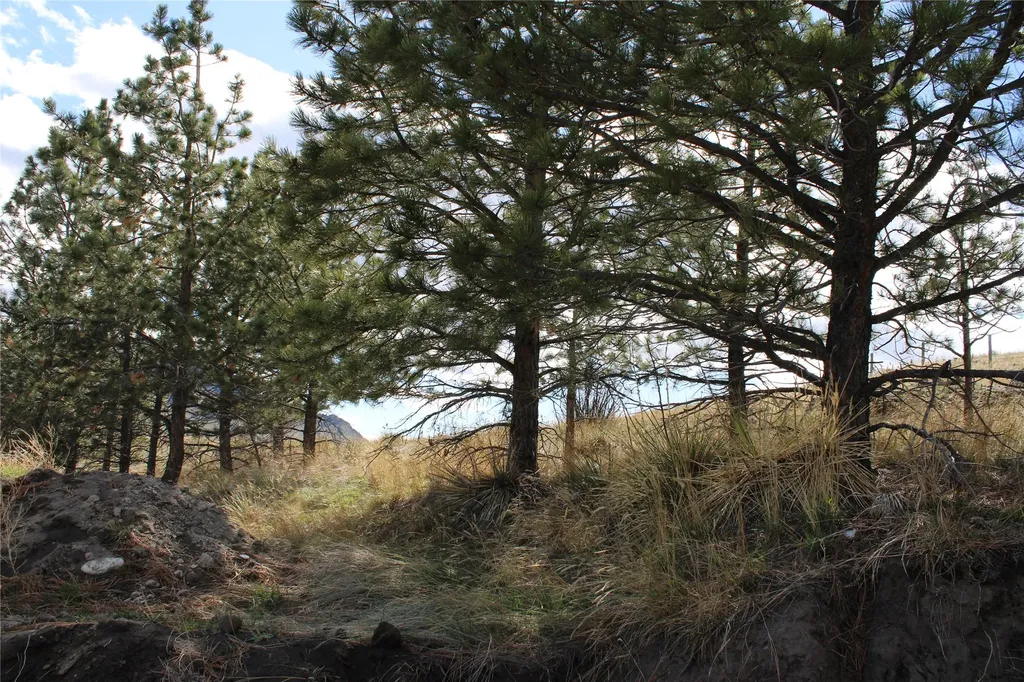 Tbd Old Highway 91 Cascade MT 59421