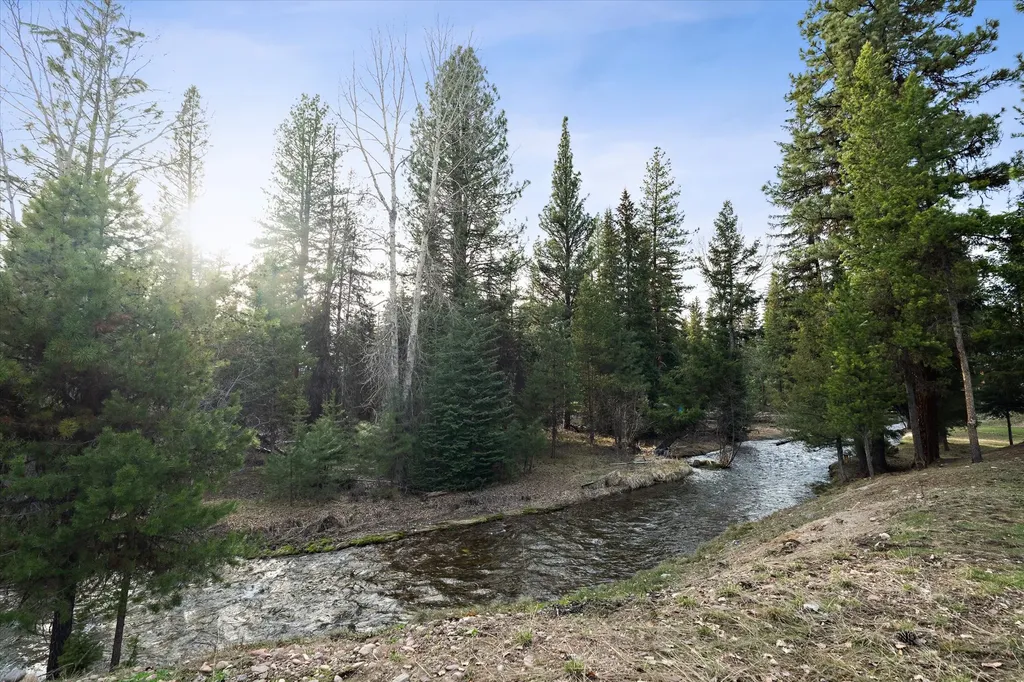385 Black Bear Drive Seeley Lake MT 59868