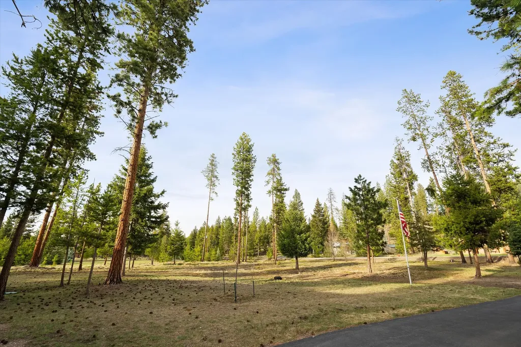 385 Black Bear Drive Seeley Lake MT 59868