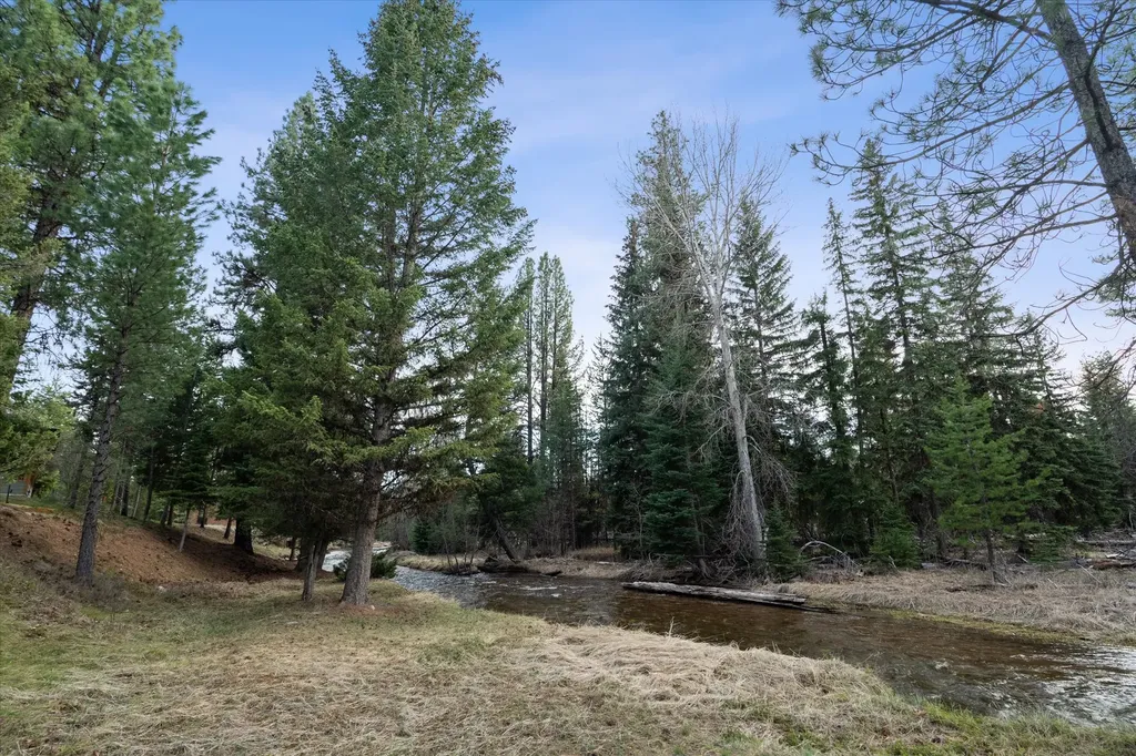 385 Black Bear Drive Seeley Lake MT 59868