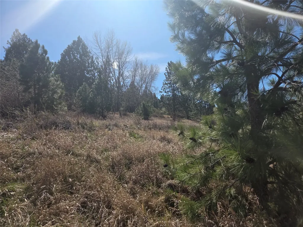 1233 Narrow Way Stevensville MT 59870